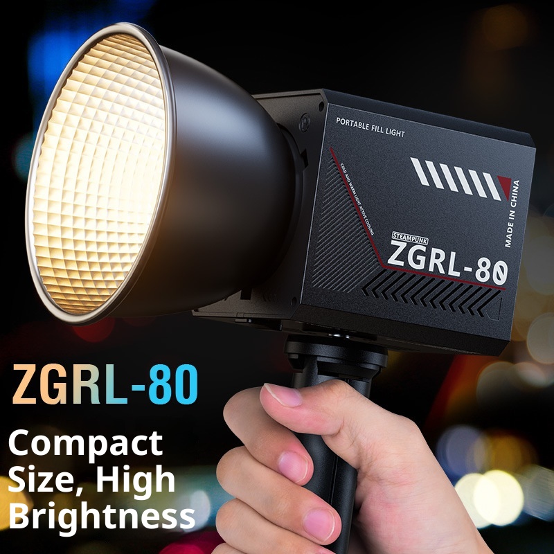 ZGRL80 80W COB Handheld Video  - Outdoor Lighting Video Shooting recension och pris