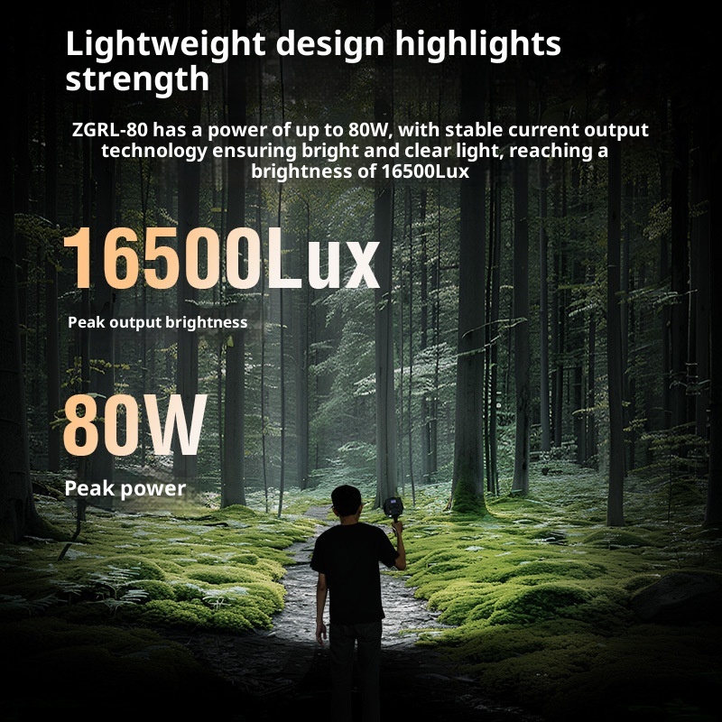 ZGRL80 80W COB Handheld Video  - Outdoor Lighting Video Shooting recension och pris